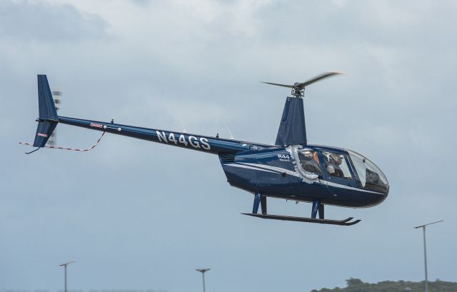 Robinson R-44 (N44GS)