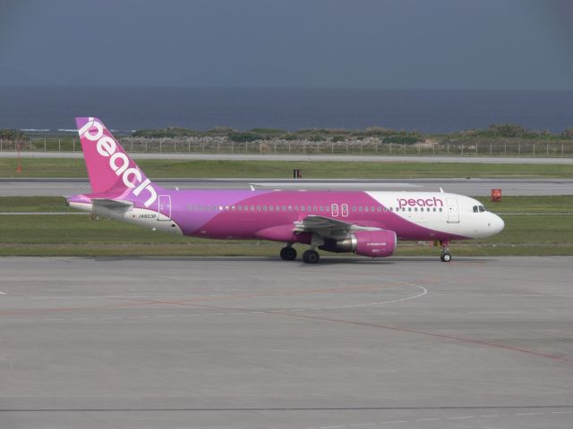 Airbus A320 (JA803P)