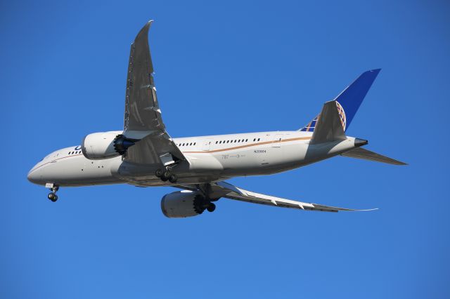 Boeing 787-8 (N20904)