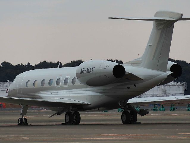 Gulfstream Aerospace Gulfstream G650 (A6-MAF) - I took this picture on  Feb 08, 2019.