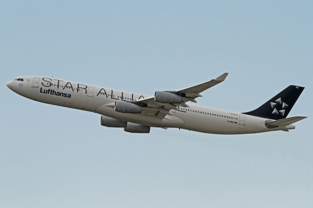 Airbus A340-300 (D-AIGC) - "Star Alliance" livery