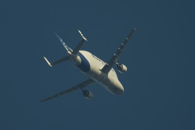 Airbus A300F4-600 (F-GSTB) - 26th Nov 2016, Airbus A300-608ST "Beluga 2" super transporter passes overhead Lancashire,England,UK AT 15,000ft working route Hawarden (CEG)-Bremmen (BRE).br /Flight AIB145/BGA145B