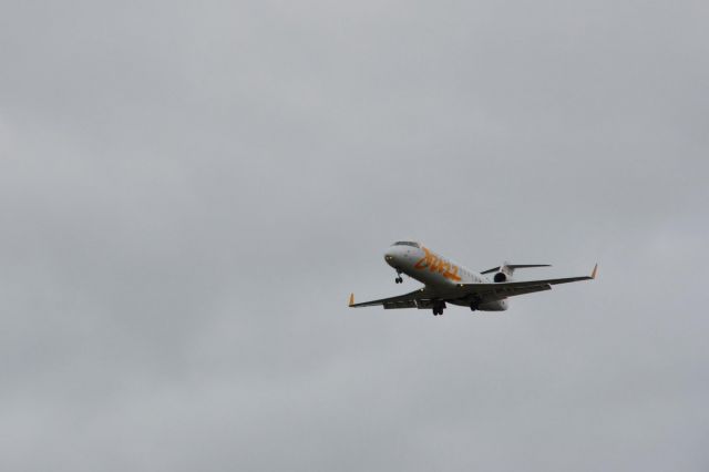 Canadair Regional Jet CRJ-100 (C-FRIB) - 17JULY2009 LANDING RWY08