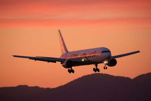 BOEING 767-300 (JA602A) - December 8th 2021:HND-HKD.