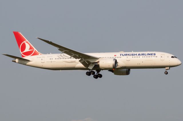 TC-LLN — - THY83J is gleaming in golden hour coming into DFW after an 11 hour and 52 minute flight from Istanbul. Photo taken May 16, 2022 at 0013Z (1813 CDT) with Nikon D3200 at 100mm. 