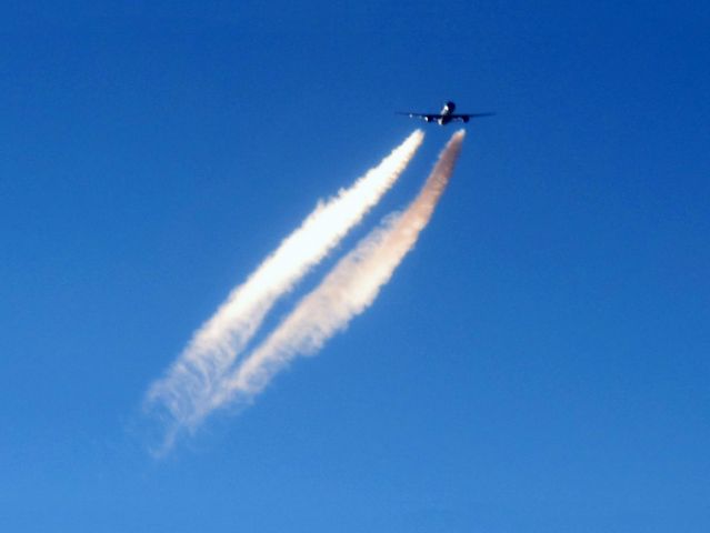 Cessna Citation V (N560HG)