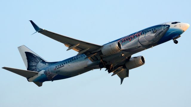 Boeing 737-800 (N559AS) - The Salmon-Thirty-Salmon departing 9L early in the morning as flight 469 for KPDX. This big guy only visits Philly about once a year, so it was a very lucky catch.