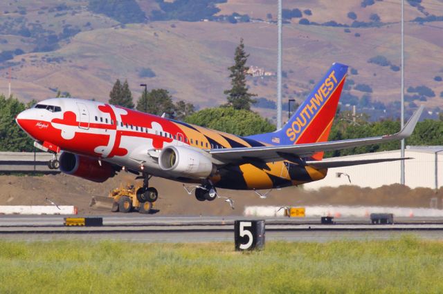 BOEING 737-400 (N214WN) - Scaring some gulls away in San Jose.