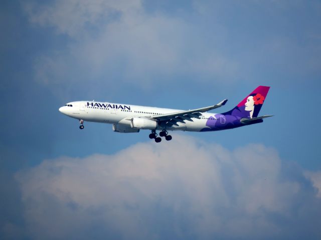 Airbus A330-200 — - Hawaiian A332, landing at KLAX.