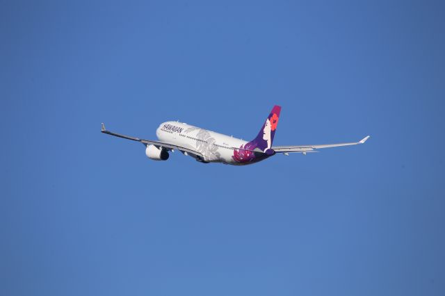 Airbus A330-200 (N389HA)