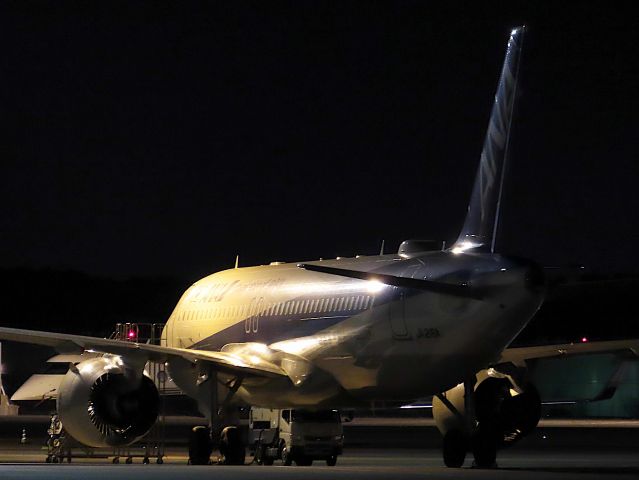 Airbus A320neo (JA216A) - I took this picture on  Jan 24, 2019.br /NH956/24Jan