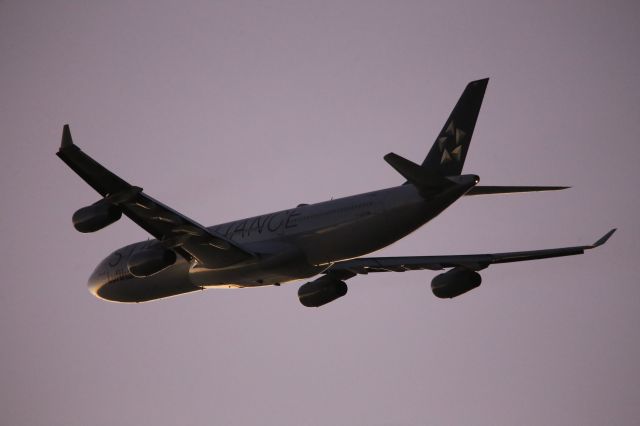 Airbus A340-300 (D-AIGN)