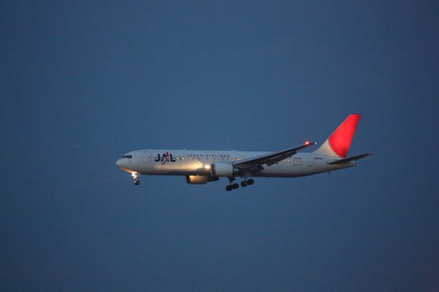 BOEING 767-300 (JA619J)