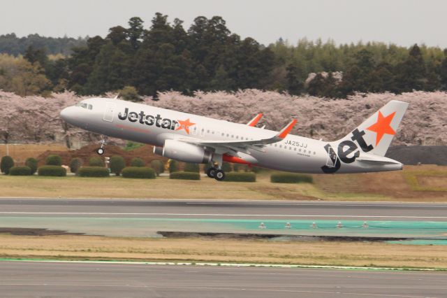 Airbus A320 (JA25JJ)