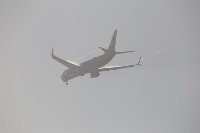 Boeing 737-800 (N8519R)