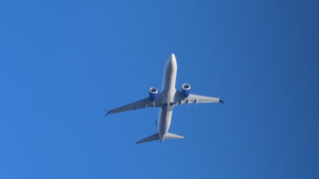 Boeing 737 MAX 8 (N17337)