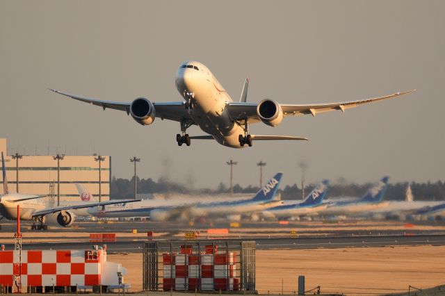 Boeing 787-8 (N964AM)