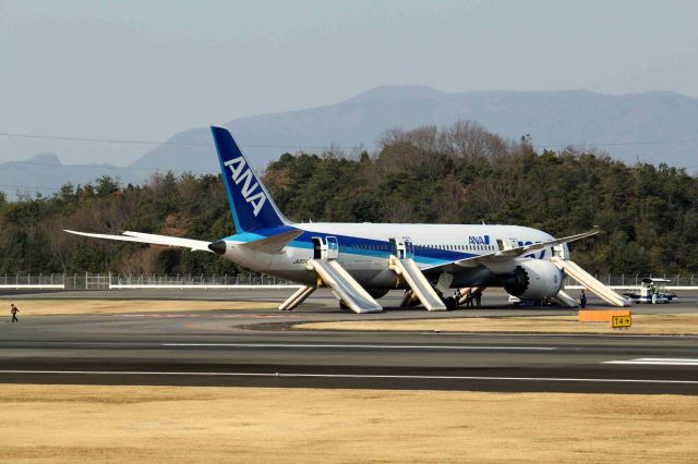 Boeing 787-8 (JAT804) - 緊急着陸
