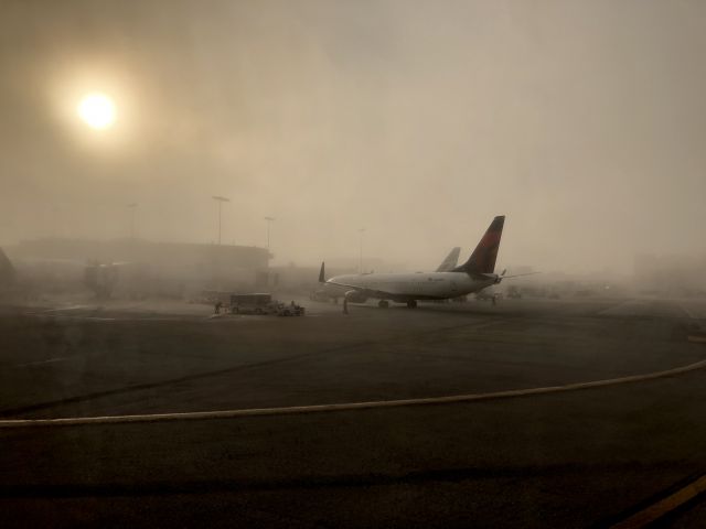 Boeing 737-900 (N825DN) - Nov 5, 2019