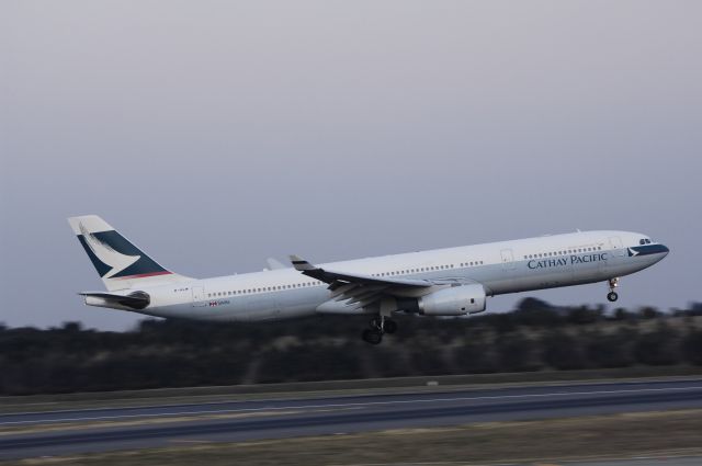 Airbus A330-300 (B-HLM) - Landing at NRT Airport Runway 16L on 2011/12/29