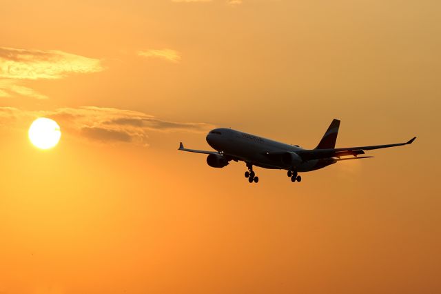 Airbus A330-300 (EC-MMG) - land rwy 15 Galeão RJ