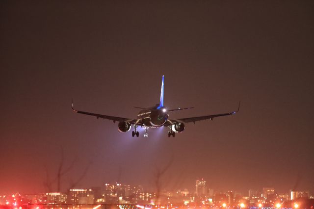 Airbus A321 (JA140A) - March 18th 2019:HND-HKD.