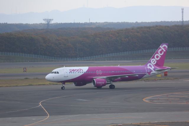 Airbus A320 (JA802P)