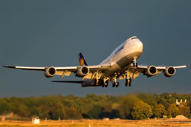 BOEING 747-8 (D-ABYU) - hot yellow evening sun after thunderstorm and heavy rain.2016-10-02