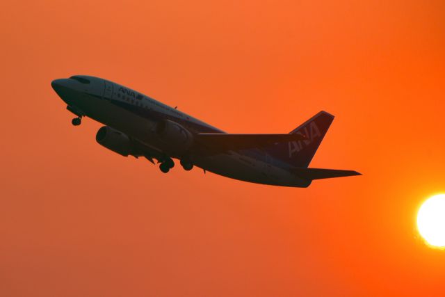 Boeing 737-500 (JA8596)