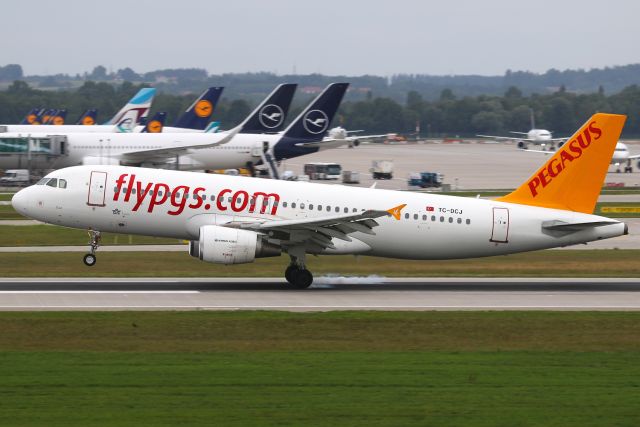 Airbus A320 (TC-DCJ)