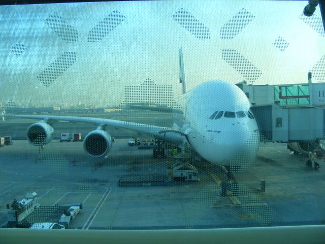 Airbus A380-800 —