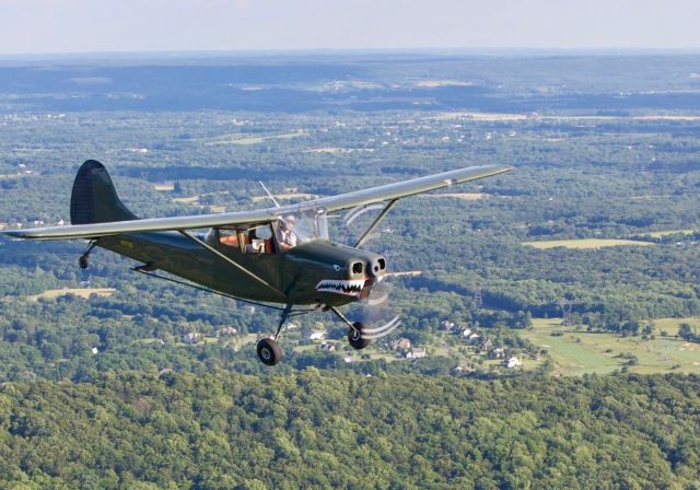 N5178G — - Bird Dog flying over Round Valley NJ