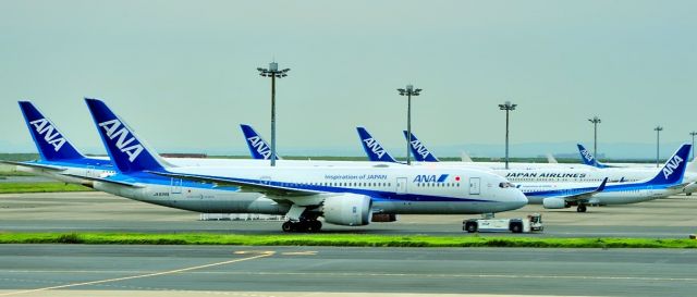 Boeing 787-8 (JA838A) - Towed to Gate, before sunrise
