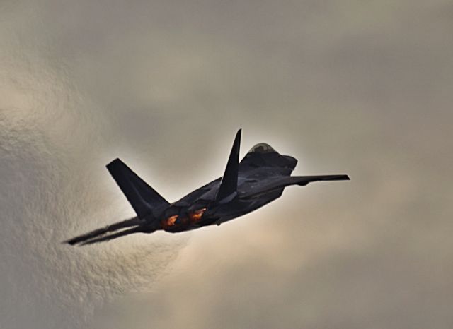 — — - F-22 Raptor