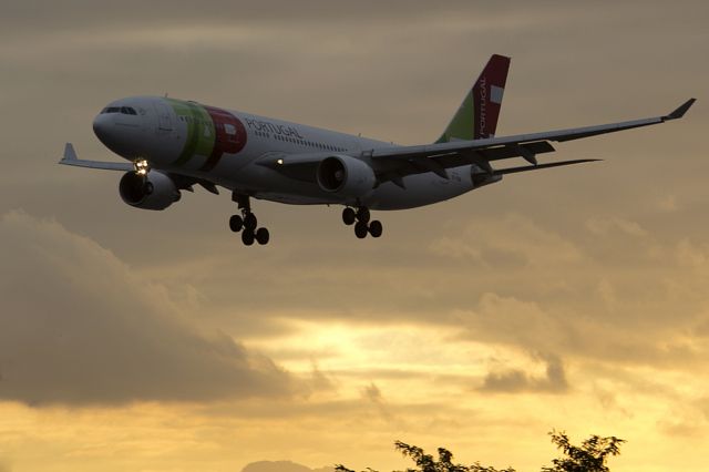 Airbus A330-300 (CS-TOG)