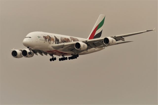 Airbus A380-800 (A6-EOM)