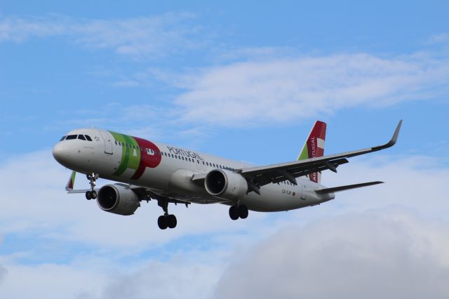 Airbus A321neo (CS-TJP) - Airline: TAP Portugalbr /Plane: A321 Neobr /Location: LHR (Myrtle Avenue)br /Date: 04.09.22 (dd/mm/yy)