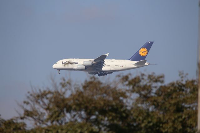 Airbus A380-800 (D-AIMM)