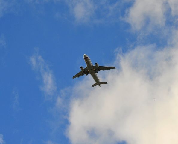 Airbus A319 (EI-ETO)