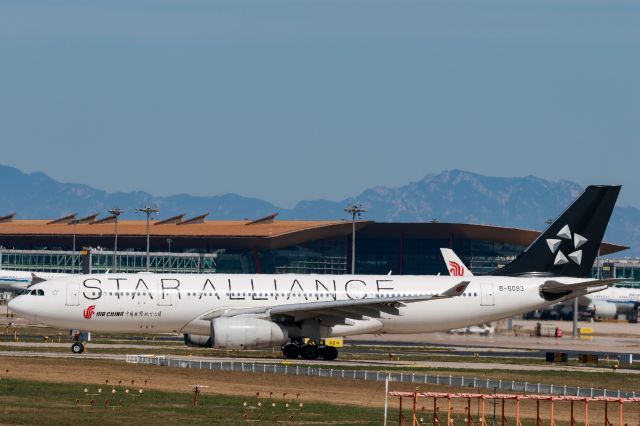 Airbus A330-200 (B-6093) - The last A330-200 in air China fleet in star alliance special livery.