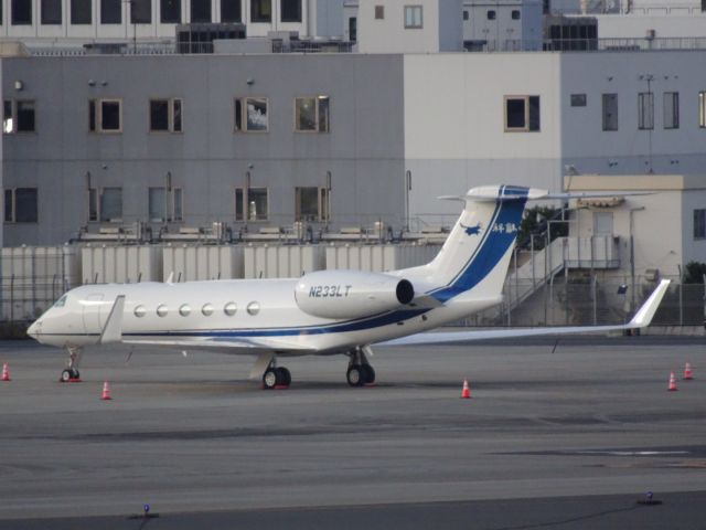 N233LT —