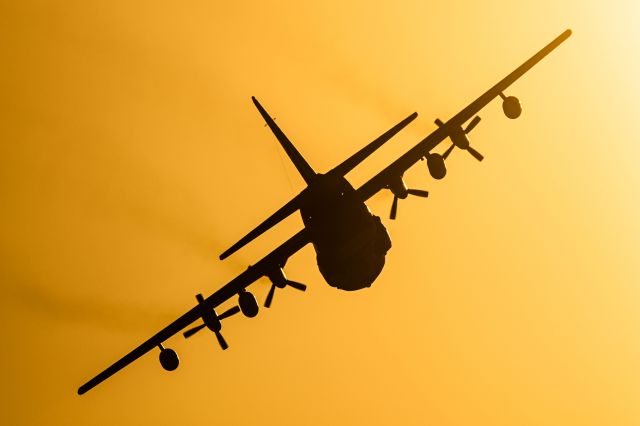 Lockheed C-130 Hercules (0420)