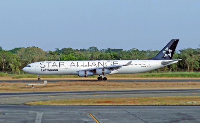 Airbus A340-300 (D-AIGY)