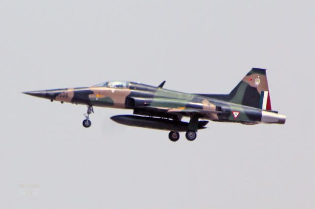 Northrop RF-5 Tigereye (FAM4506) - Fuerza Aérea Mexicana / Northrop F-5E Tiger II / 4506 / MMSM 04/2019