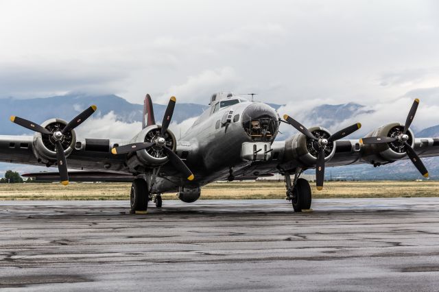 Boeing B-17 Flying Fortress (N5017N)