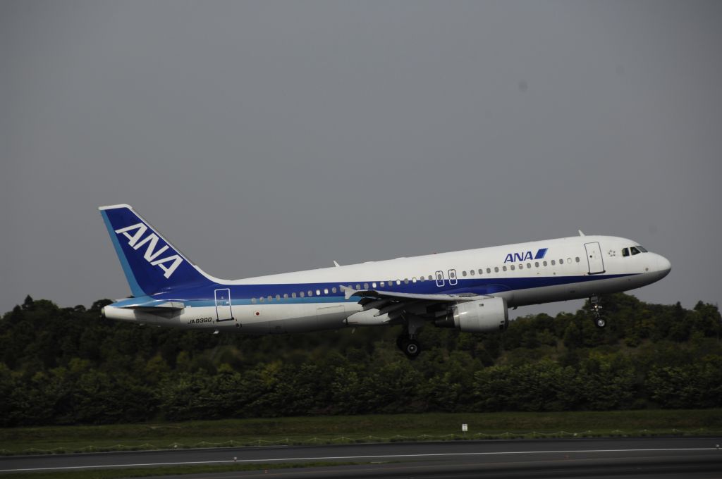 Airbus A320 (JA8390) - Approach to Narita Intl Airport Rwy16L on 2013/05/06