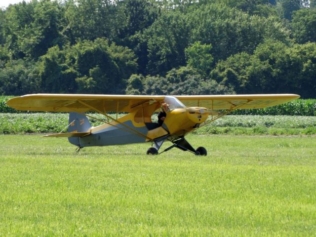 Piper L-18B Cub Special (N4769M)