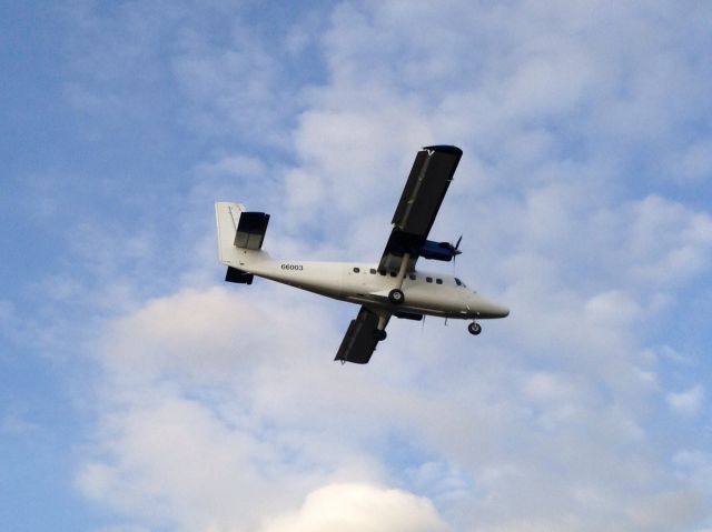 De Havilland Canada Twin Otter — - Twin Otter 66003 short final runway 13