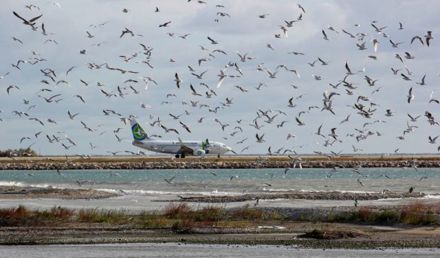 — — - TAXIWAY FOR 04R TO NICE AIRPORT SOUTH FRANCE