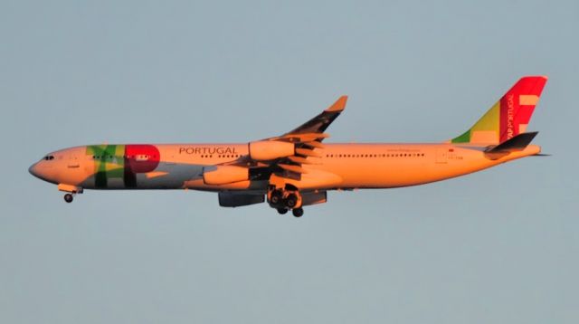 Airbus A340-300 (CS-TOB) - 2008 - lowering gear at sunset